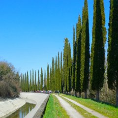 P1190169 Sulla strada alzaia del canale Virgilio. Partecipanti 56.
